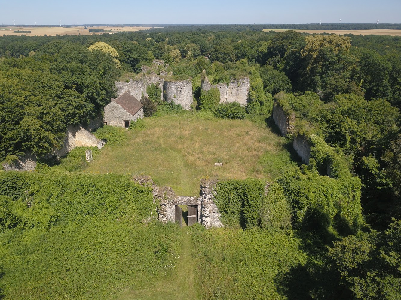 Ruine Chateau A Vendre